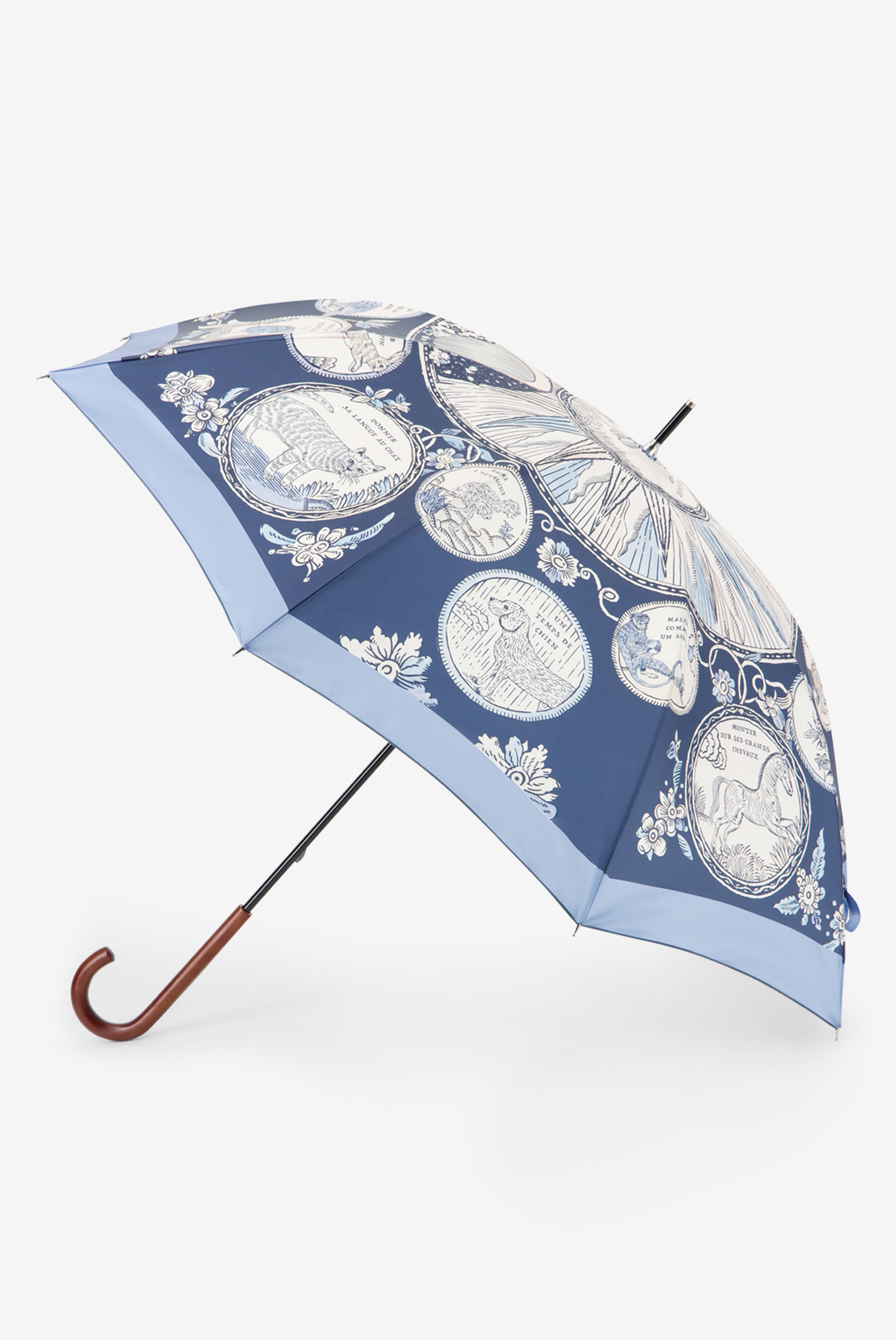 Parapluie - Chance - Bleu / aurora